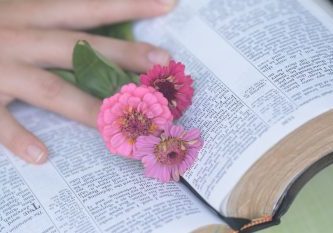 bible, flowers, hand