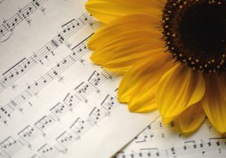 sunflower, sheet music, flower